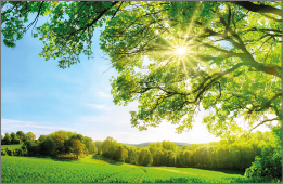 Kategorie: Natur erkunden